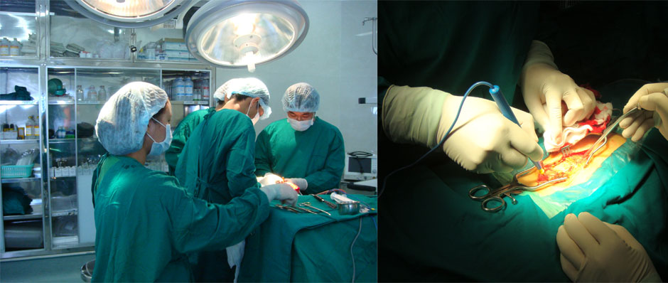 Đội ngũ phẫu thuật